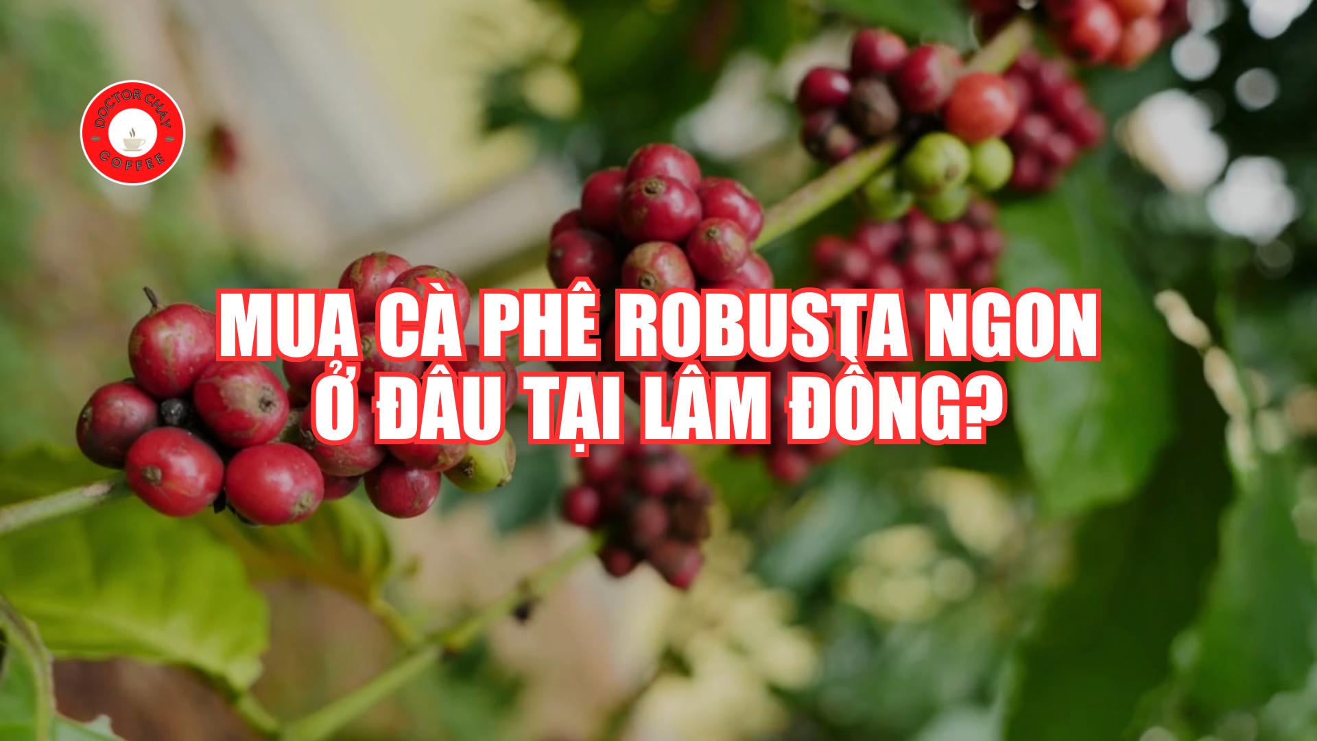 Mua cà phê robusta ngon ở đâu tại Lâm Đồng?