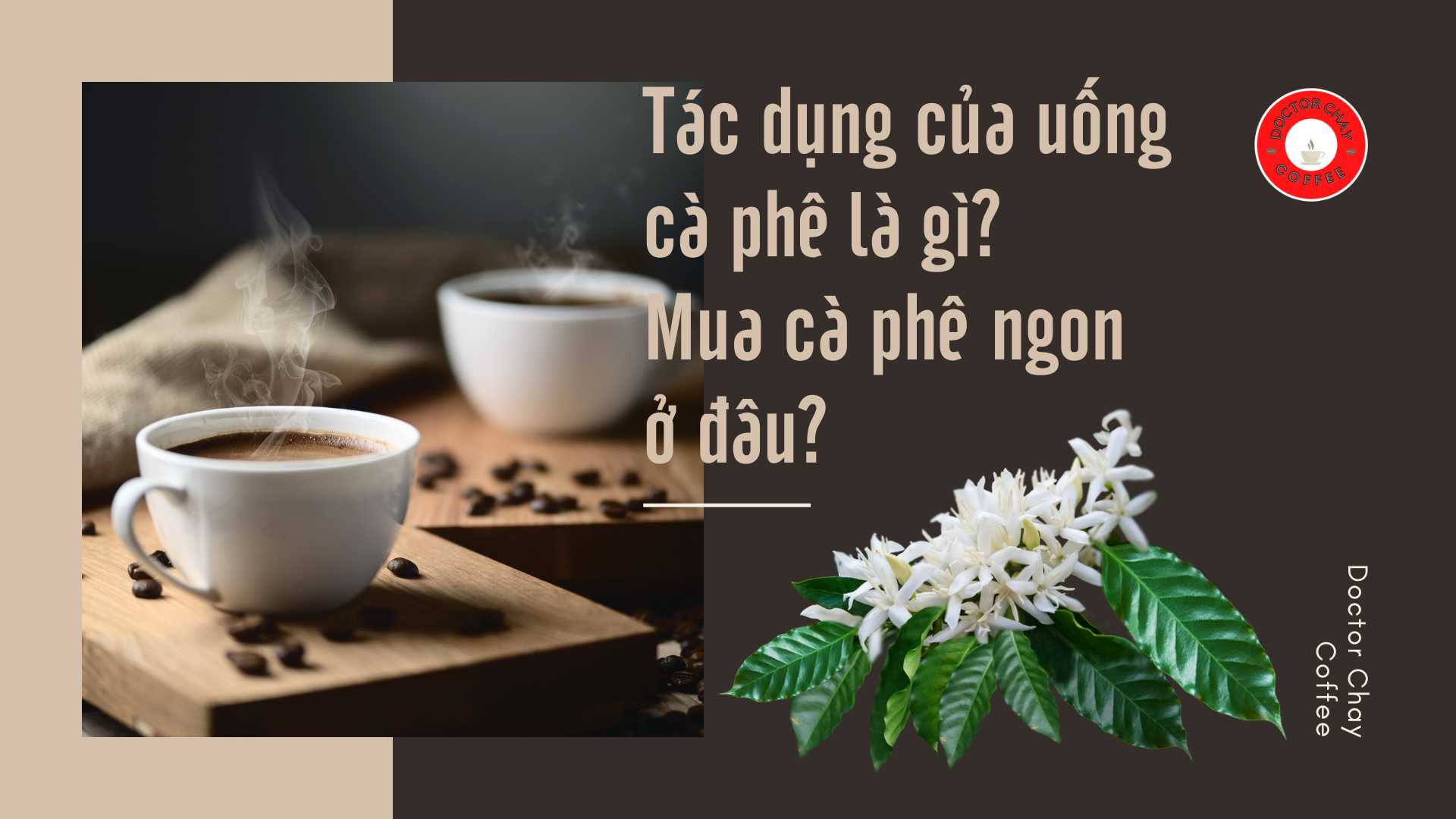 Tác dụng của uống cà phê là gì? Mua cà phê ngon ở đâu?
