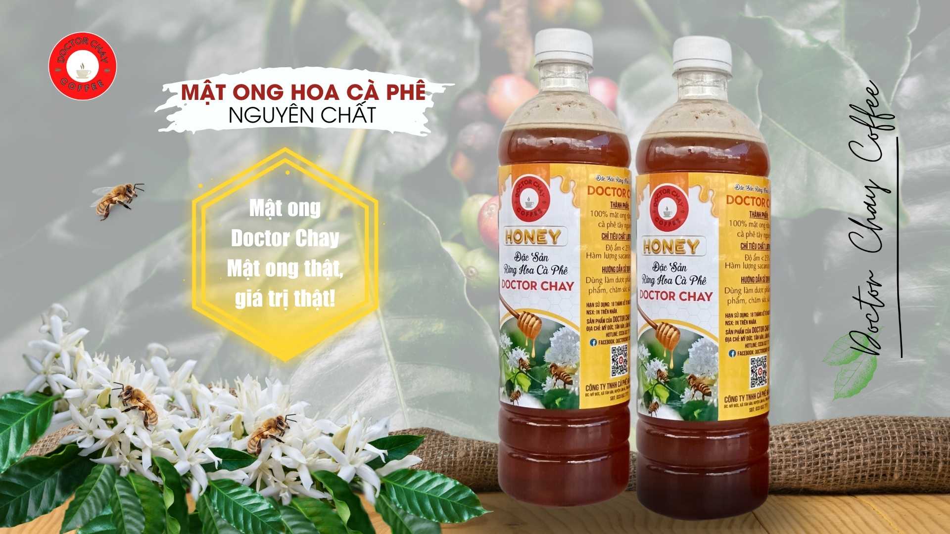 Mật ong hoa cà phê nguyên chất - Doctor Chay Coffee